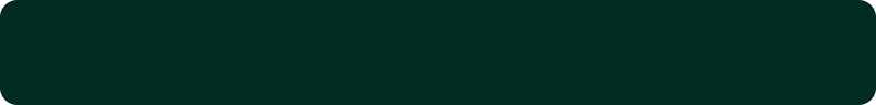 primary-color-emerald-950.png